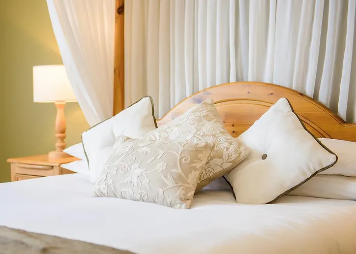 مياداونلودز 4* ترالي