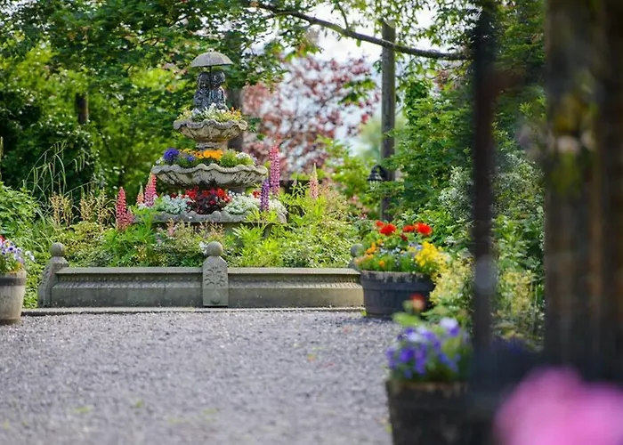 مياداونلودز 4* ترالي