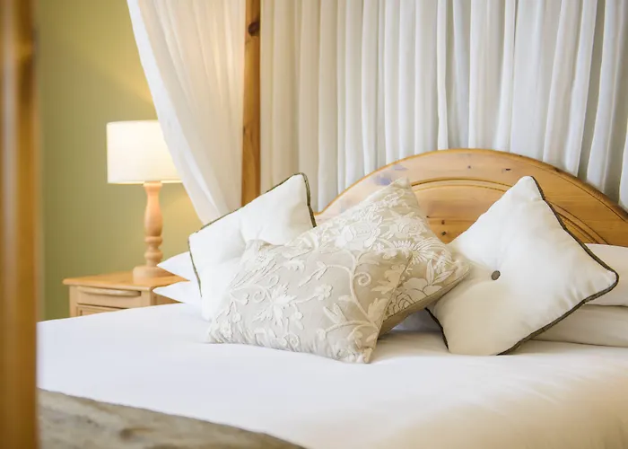 مياداونلودز 4* ترالي