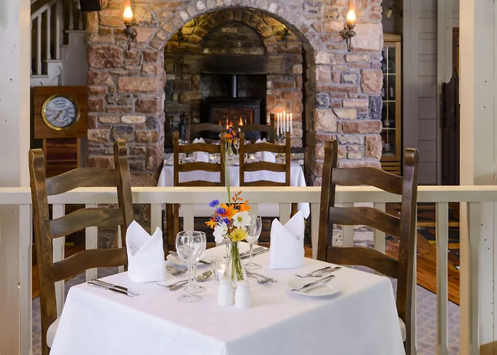 مياداونلودز 4*