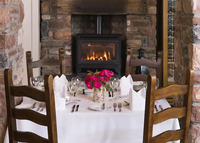 مياداونلودز فندق ترالي