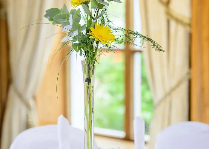 فندق مياداونلودز ترالي