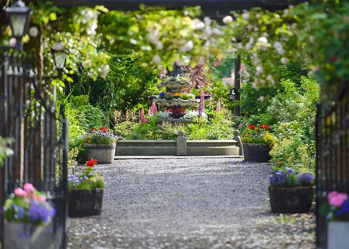 فندق مياداونلودز 4*