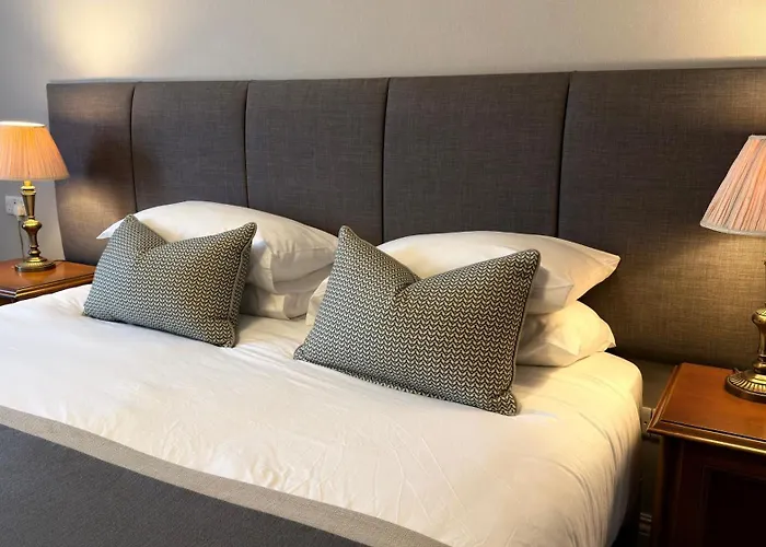 مياداونلودز 4* ترالي